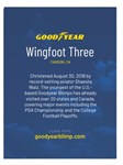 Blimp Wingfoot Trading Cards - Set of 3
